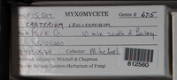 Image Associated With the Occurence
